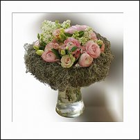 www.floristic.ru - .  - Ranunculus