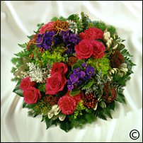 www.floristic.ru - . Saintpaulia ionantha -  ,   