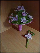 www.floristic.ru - . Saintpaulia ionantha -  ,   