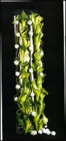     
: fc spring 2010040-1.jpg
: 950
:	135.8 
ID:	28976