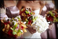 www.floristic.ru - .  .