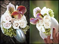 www.floristic.ru - .  .