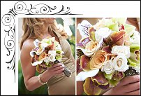 www.floristic.ru - .  .