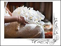 www.floristic.ru - .  .