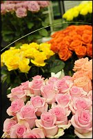 www.floristic.ru - . 