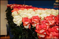 www.floristic.ru - . 