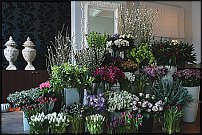 www.floristic.ru - .       - ?