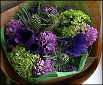 www.floristic.ru - .       - ?