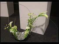 www.floristic.ru - .    !