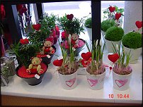 www.floristic.ru - .   