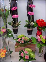 www.floristic.ru - .   