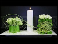 www.floristic.ru - . 