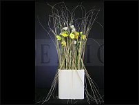 www.floristic.ru - . 