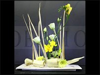 www.floristic.ru - . 