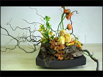 www.floristic.ru - . 