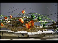 www.floristic.ru - . 