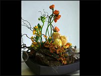 www.floristic.ru - . 