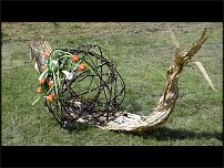 www.floristic.ru - . 
