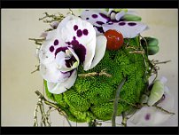 www.floristic.ru - . 