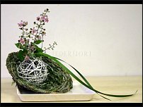 www.floristic.ru - . 