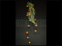 www.floristic.ru - . 