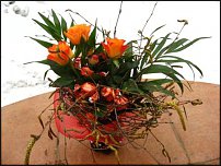 www.floristic.ru - .     -,  ..