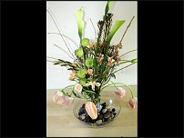 www.floristic.ru - . 