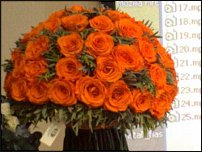 www.floristic.ru - .     -   !