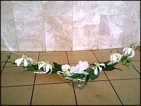 www.floristic.ru - .      .