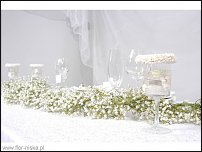 www.floristic.ru - .  .