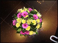 www.floristic.ru - .       8 !!!