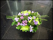 www.floristic.ru - .       8 !!!