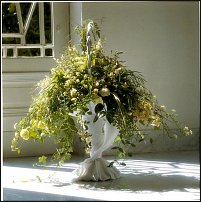 www.floristic.ru - .       