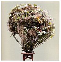 www.floristic.ru - .       