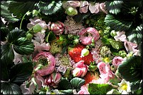 www.floristic.ru - .    - Naoki Sasaki