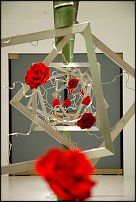 www.floristic.ru - .    - Naoki Sasaki
