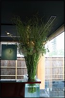 www.floristic.ru - .    - Naoki Sasaki