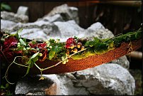 www.floristic.ru - .    - Naoki Sasaki