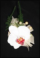 www.floristic.ru - .  .