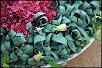 www.floristic.ru - .    - Naoki Sasaki