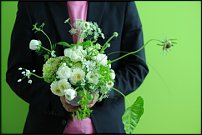 www.floristic.ru - .    - Naoki Sasaki