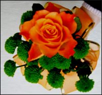 www.floristic.ru - . -