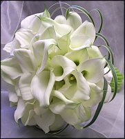 www.floristic.ru - . 