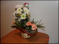 www.floristic.ru - .  