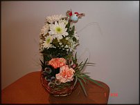 www.floristic.ru - .  