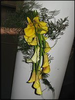 www.floristic.ru - . 