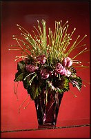 www.floristic.ru - . .