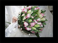 www.floristic.ru - . .