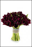 www.floristic.ru - . .