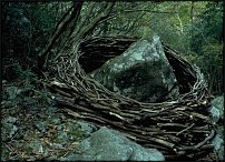 www.floristic.ru - . Andy Goldsworthy